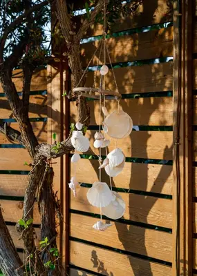 a group of seashells hanging from a tree at Dreamcatcher Villa in Pastida