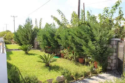 a row of christmas trees in a garden at Haraki Stone Apartments in Haraki