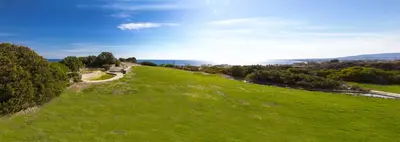 an aerial view of a green field with the ocean at Ekaterini Hotel in Kiotari