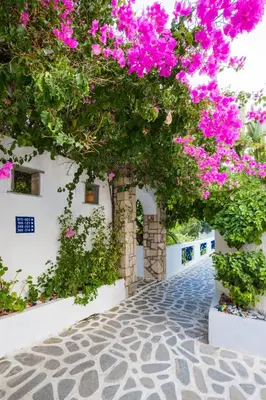 a tree with pink flowers on a street at Ekaterini Hotel in Kiotari