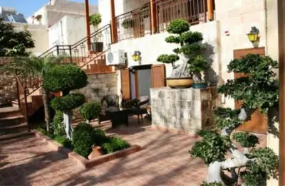 a patio with a bunch of trees and plants at Paris Hotel in Rhodes Town