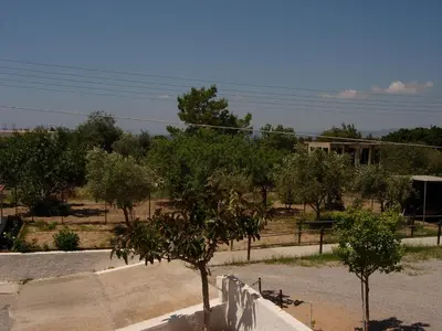 a group of trees in a yard with a fence at Maria Apartments in Pefki Rhodes
