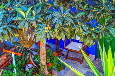 a model of a palm tree and a chair at Symi Garden Studios in Symi