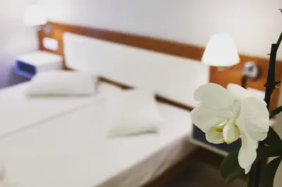 a white flower in a vase next to a bed at Tsampika Hotel Faliraki in Faliraki