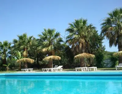 a swimming pool with chairs and umbrellas and palm trees at Rhodian Sun Hotel in Paradeísion