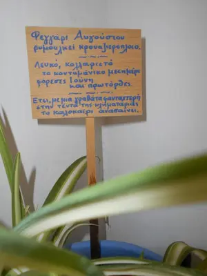 a sign on a wooden stick next to a plant at Maison Masse - Historic Residence with Private Courtyard in Rhodes Town