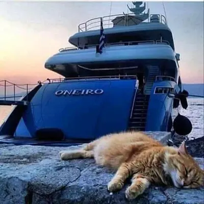 a cat laying on a rock in front of a boat at Apollon Apartments H-2 in Rhodes Town