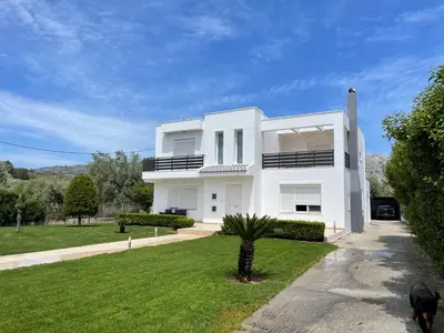 a white house with a palm tree in the yard at Villa Epavlis Haraki in Haraki