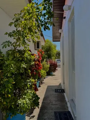 an alley with potted plants on the side of a building at Pension Zoi in Kolimbia