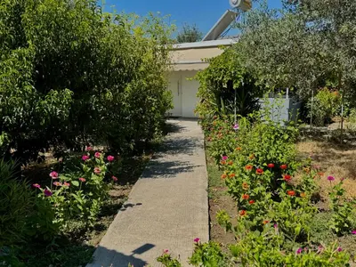 a garden path leading to a house with flowers at Pension Zoi in Kolimbia