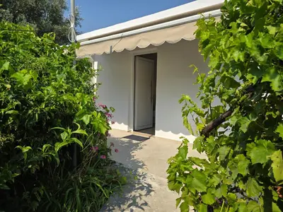 a white building with a door and some plants at Pension Zoi in Kolimbia