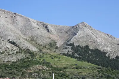 a mountain with green vegetation on the side of it at Ataviros Hotel in Émbonas