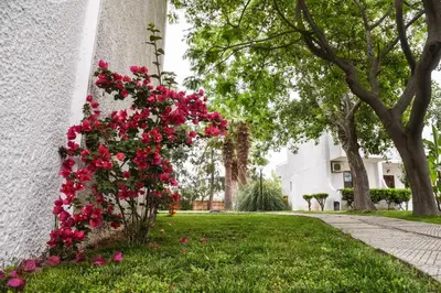 a bunch of red flowers on the side of a building at Vallian Village Hotel in Paradeísion