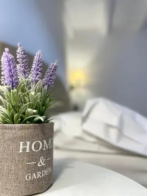 a pot of purple flowers sitting on top of a bed at Villa Smaragdi-Despoina in Malona Village