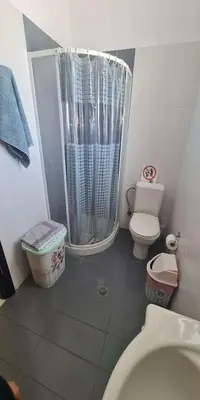a small bathroom with a toilet and a shower at Retas apartment in Kremasti