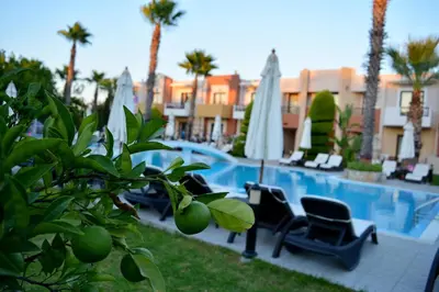 a swimming pool with chairs and palm trees in a resort at Stavros Melathron Studios in Kallithea Rhodes