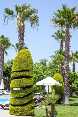 a pyramid ofxus spheres in a park with palm trees at Stavros Melathron Studios in Kallithea Rhodes