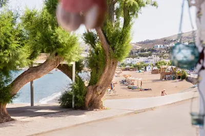 a beach with a tree and people on the beach at Peters Studio in Archangelos