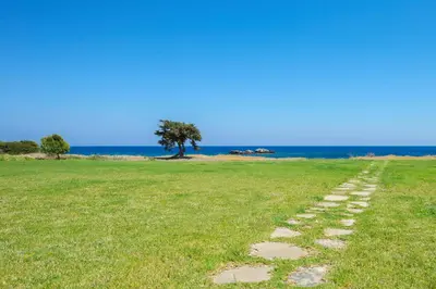 a path in a field with a tree and the ocean at Horizon Line Villas in Kiotari