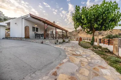 a driveway leading to a house with a tree at Ktima Argyrou Stegna in Archangelos