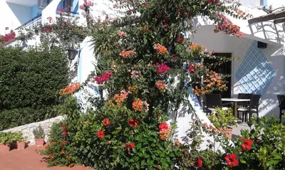 a bunch of flowers growing on the side of a building at Nirvana Beach Hotel in Theologos