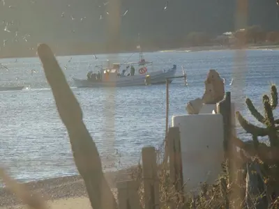 a small boat in the water near a beach at Nicholas Waves Beach Studios in Lardos