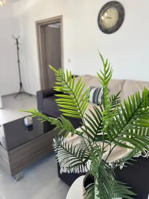 a living room with a couch and a palm tree at Villa Rose in Archangelos