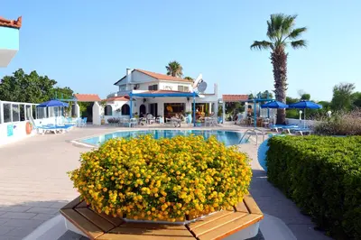 a large bowl of yellow flowers next to a swimming pool at Muses Hotel in Faliraki
