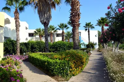 a walkway through a garden with palm trees and flowers at Muses Hotel in Faliraki