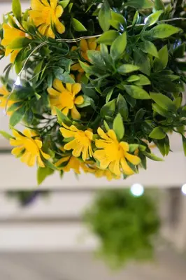 a bunch of yellow flowers hanging from a ceiling at Olivia's Sweet Home in Rhodes Town