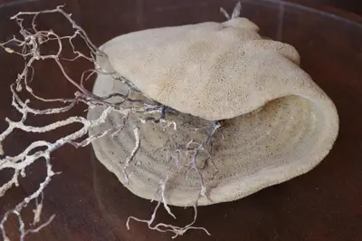 a piece of bread sitting on top of a table at Grace Hotel & Studios in Symi