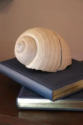 a shell sitting on top of a book at Grace Hotel & Studios in Symi