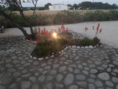 a flower garden with a light in the middle at Villa Fantasea in Plimmiri