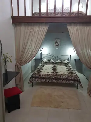 a bedroom with a bed with a canopy at Diasoulas house in Rhodes Town
