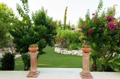 two vases with flowers on them in a garden at Nicole's garden villa in Kallithea Rhodes
