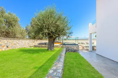 a tree in a yard next to a stone wall at Lambis Harmonia in Líndos