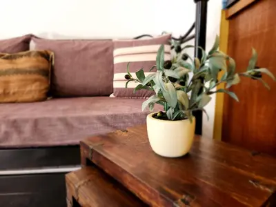 a potted plant on a wooden table next to a bed at Lindos Boutique - Adults Only in Líndos