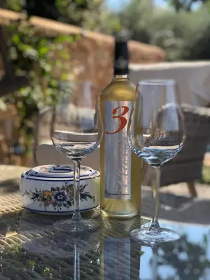 a bottle of wine and two wine glasses on a table at Tafros Villa in Rhodes Town