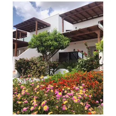 a garden with flowers in front of a building at Southern Dreams Apartments in Gennadi