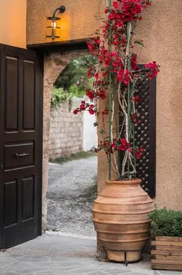a large vase filled with red flowers in front of a door at Zacosta Villa - a Heritage Hotel in Rhodes Town