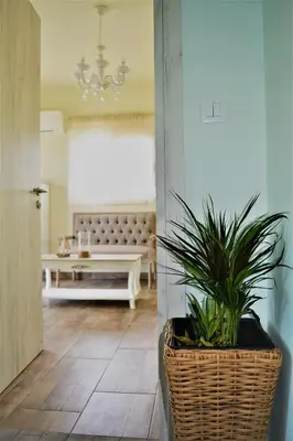 a living room with a potted plant in a basket at Anelia Boutique Studios & Apartments in Faliraki