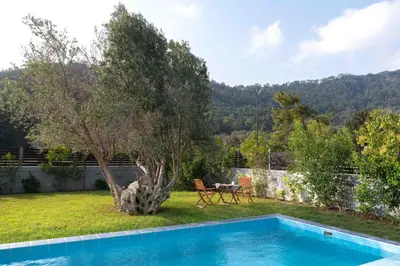 a swimming pool in a yard with a tree and a table at Filerimos Garden Villa in Ialyssos