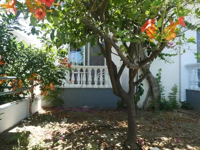 a tree in front of a building with a window at Castle View Apartments in Haraki