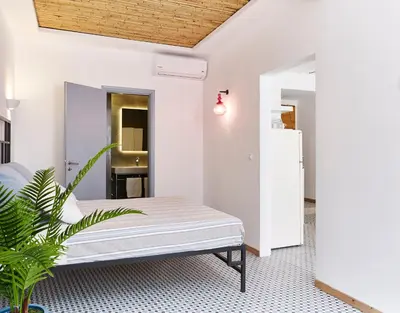 a white room with a bed and a plant at Kalithea Hills Appartment 1 in Koskinou