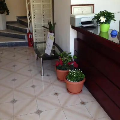 a lobby with three potted plants on the floor at Zefyros Hotel in Rhodes Town