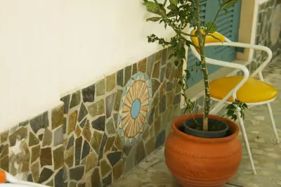 a plant in a pot next to a tile wall at George Apartments in Livadia