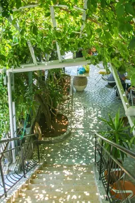 a greenhouse with a walkway with plants in it at George Apartments in Livadia