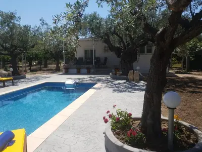 a swimming pool with a tree next to a house at Olive Sense Villa with jacuzzi and sauna in Afantou