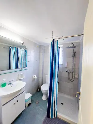a bathroom with a shower and a toilet and a sink at Alexia Apartments & Studios in Kremasti