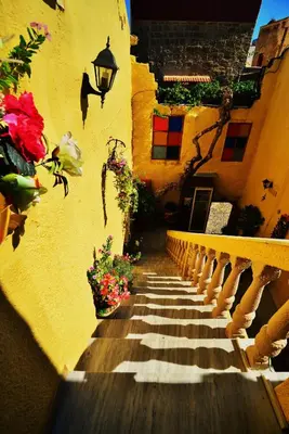 a stairway with flowers on the side of a building at Olympos Pension in Rhodes Town